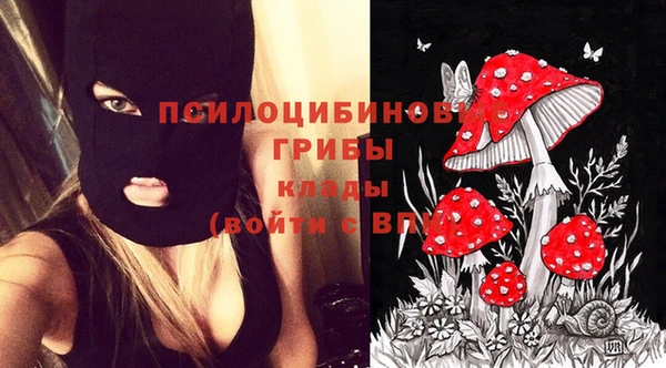 каннабис Богданович