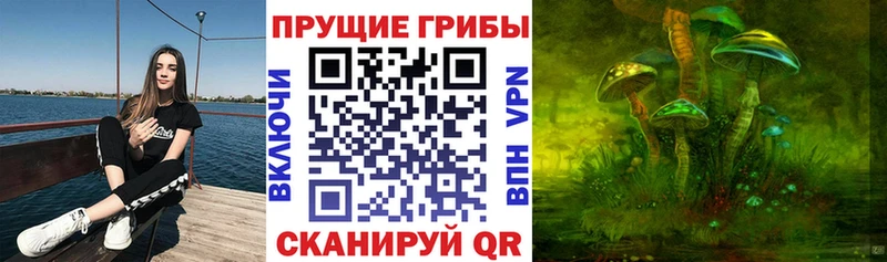 Галлюциногенные грибы мицелий  Белёв 